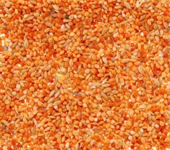 Dehner Lieblinge Leckerbissen für Sittiche und Exoten, 20 g