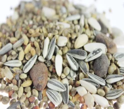 Dehner Lieblinge Leckerbissen für Großsittiche und Zwergpapageien, 20 g