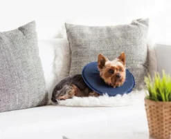Dehner Lieblinge Leckschutzkragen für Hunde & Katzen