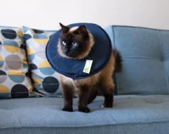 Dehner Lieblinge Leckschutzkragen für Hunde & Katzen