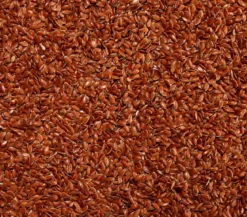Dehner Lieblinge Leinsamen, 1 kg