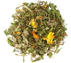 Dehner Lieblinge Löwenzahn, 300 g