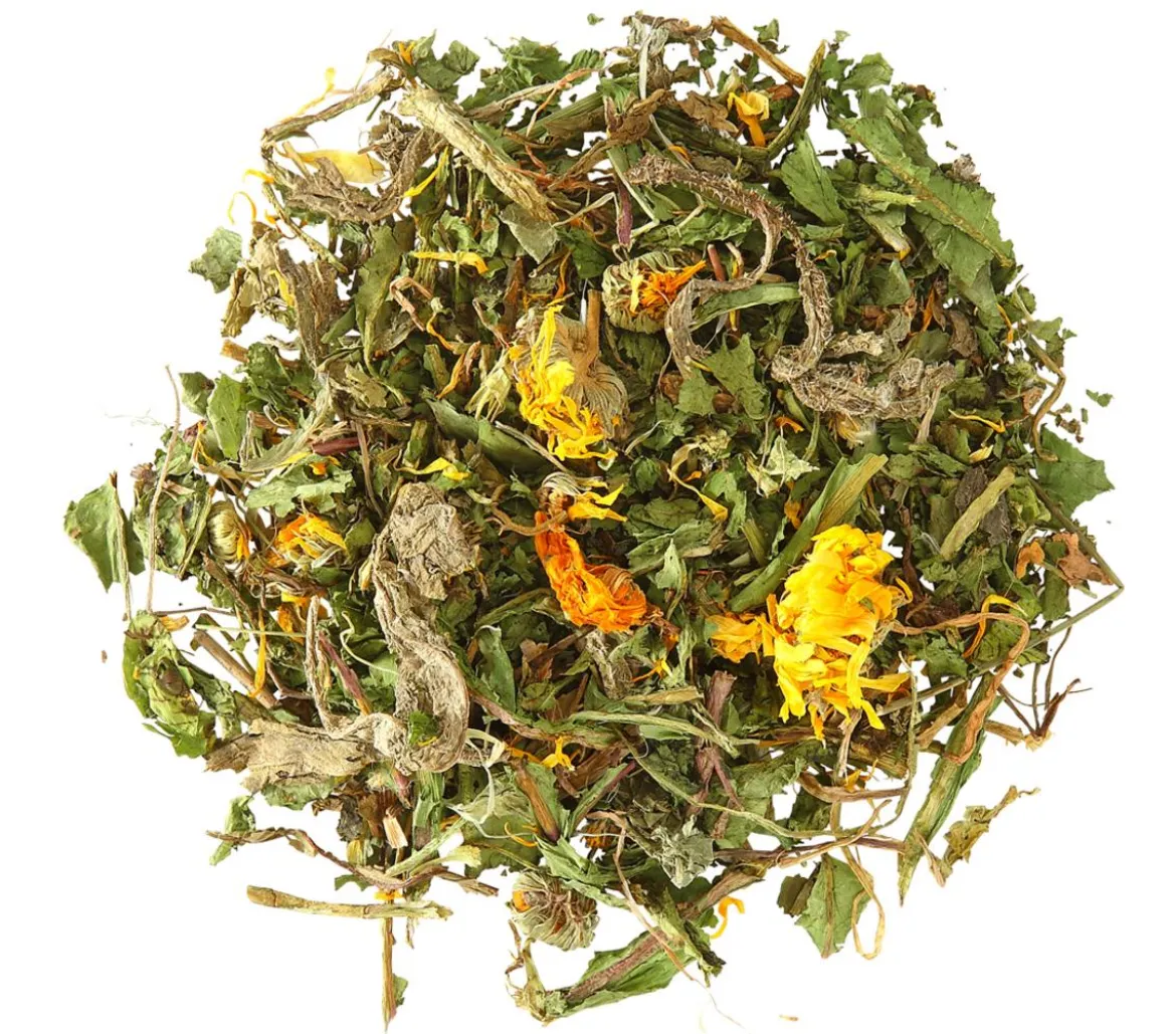 Dehner Lieblinge Löwenzahn, 300 g