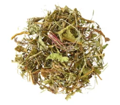 Dehner Lieblinge Löwenzahn-Mix, 100 g