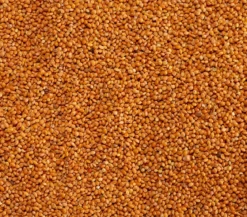 Dehner Lieblinge Marokkohirse, 1 kg