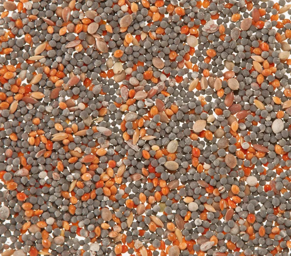 Dehner Lieblinge Mauserhilfe für Kanarien, 20 g