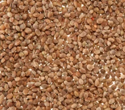 Dehner Lieblinge Mauserhilfe für Großsittiche und Papageien, 20 g
