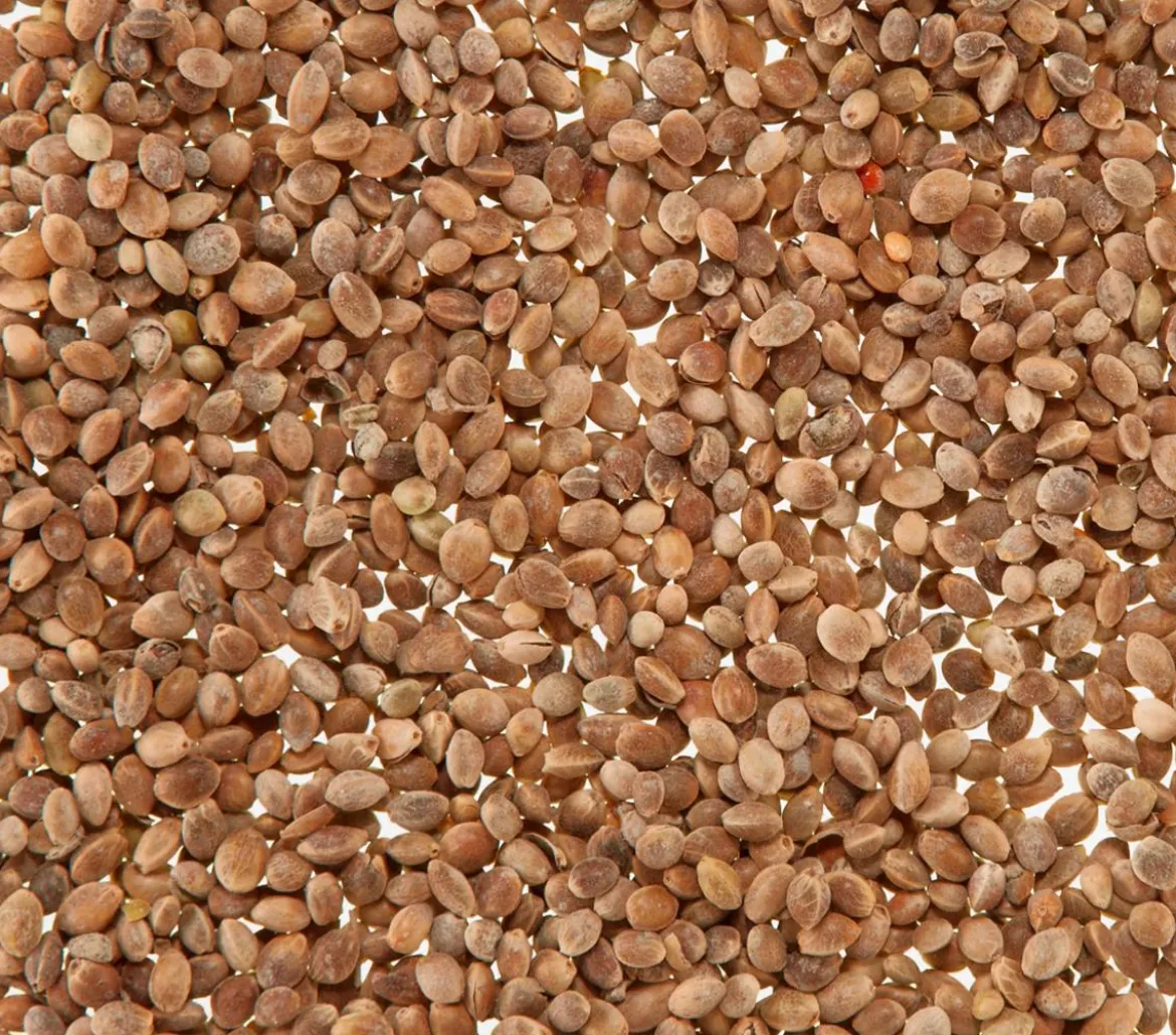 Dehner Lieblinge Mauserhilfe für Großsittiche und Papageien, 20 g