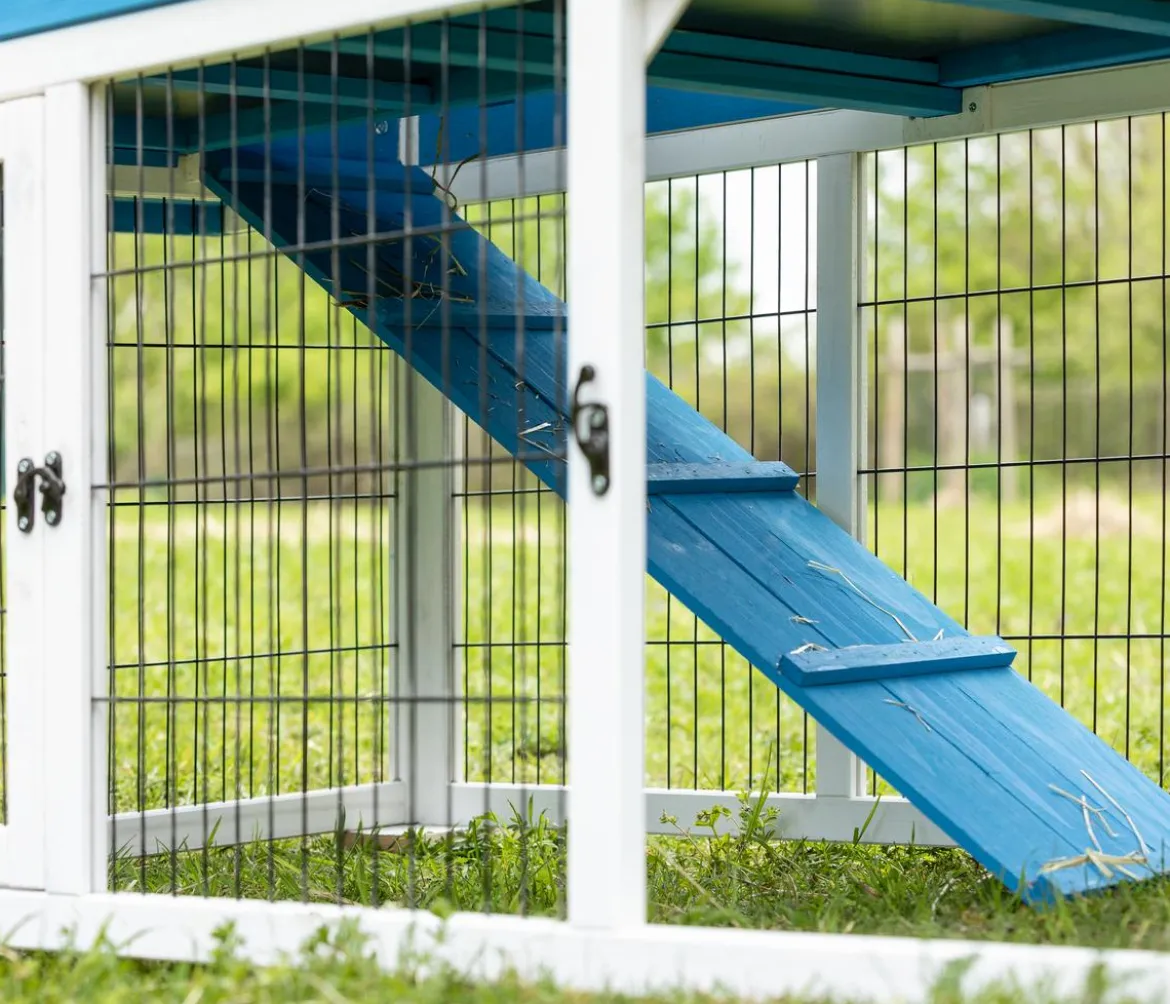 Dehner Lieblinge Nagerheim Palazzo, blau, ca. B145/H121/T72 cm