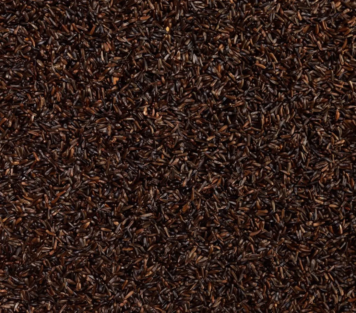 Dehner Lieblinge Nigersamen, 1 kg