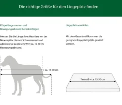 Dehner Lieblinge Orthopädisches Hundekissen Somnus, rechteckig