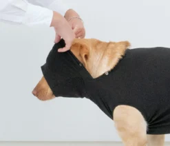 Dehner Lieblinge Post-OP-Body, schwarz