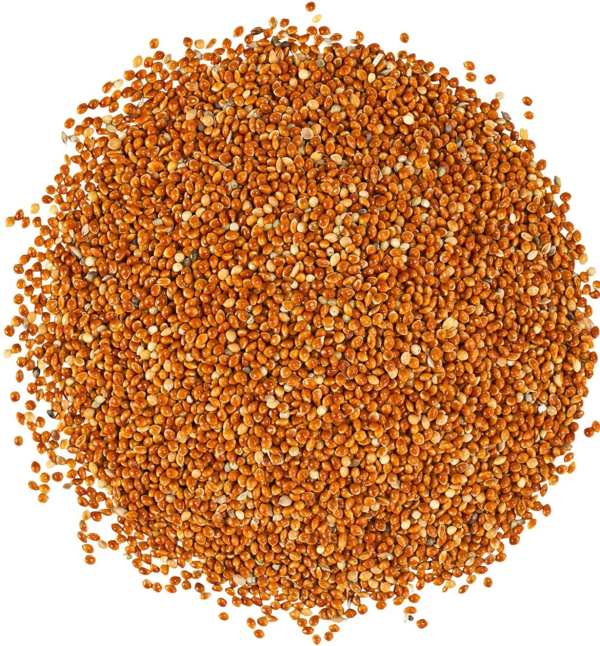 Dehner Lieblinge Rote Hirse, 1 kg