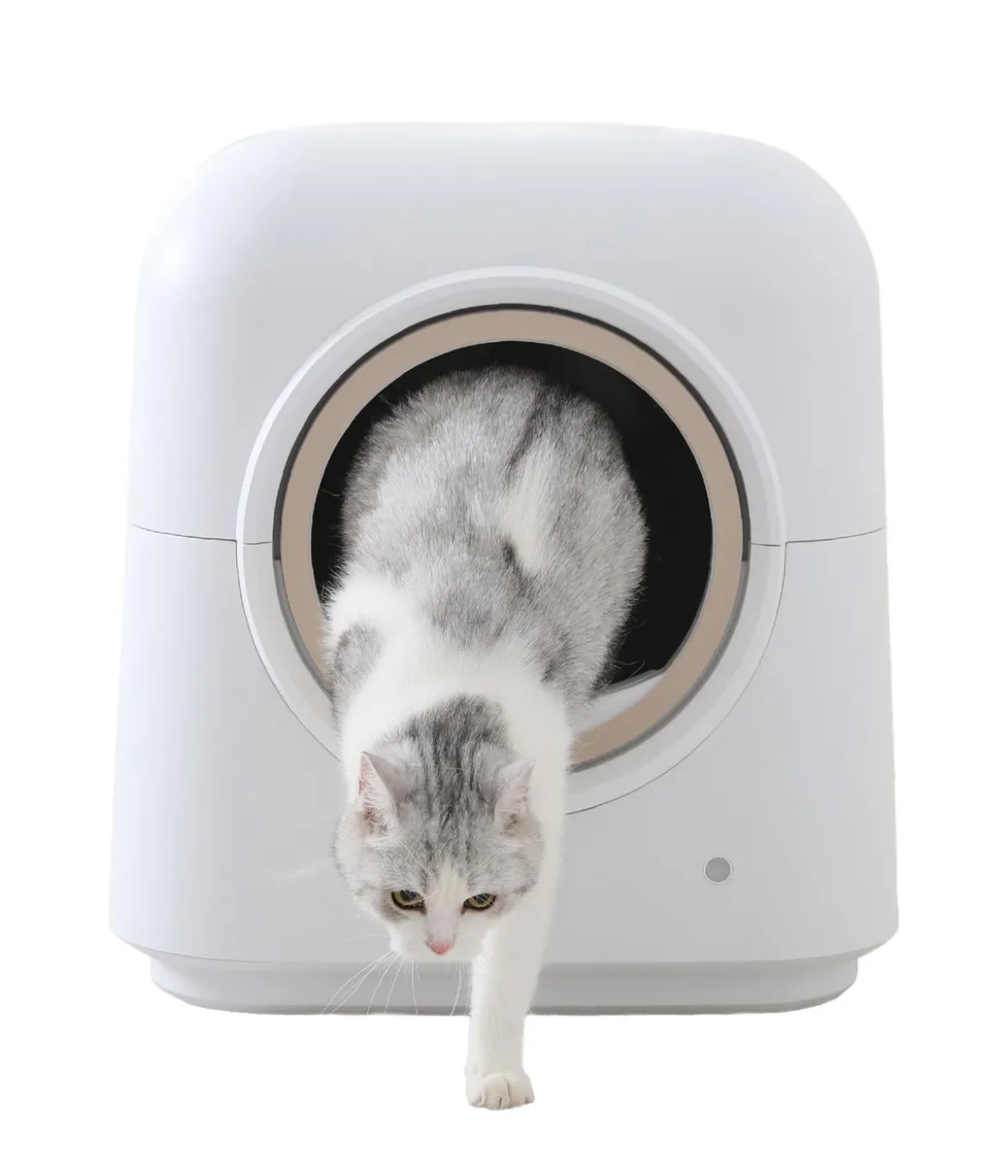 Dehner Lieblinge Selbstreinigende Katzentoilette Celeste, ca. B54,3/H59,5/T54,3 cm