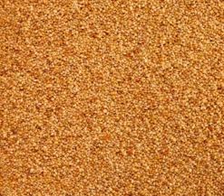 Dehner Lieblinge Senegalhirse, 1 kg
