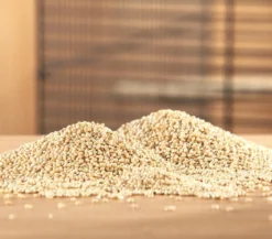 Dehner Lieblinge Silberhirse, 1 kg