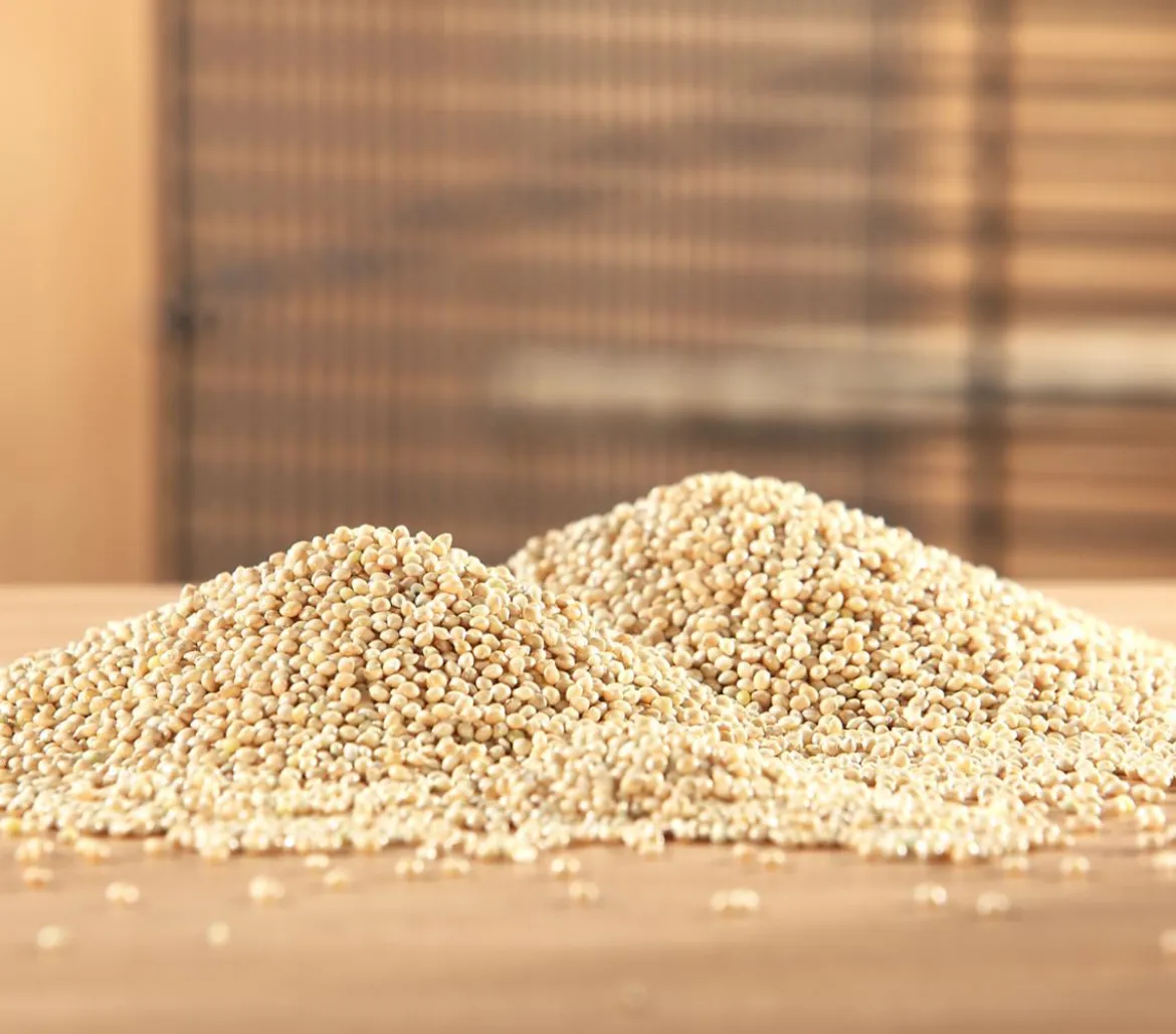 Dehner Lieblinge Silberhirse, 1 kg