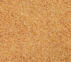 Dehner Lieblinge Silberhirse, 1 kg