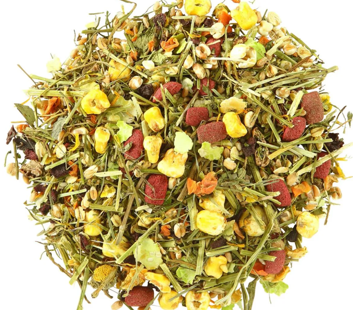 Dehner Lieblinge Spezial-Mix, 500 g