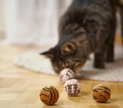Dehner Lieblinge Spielbälle Safari, 4er-Set