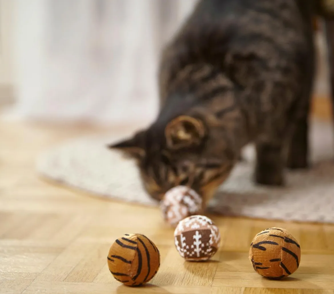 Dehner Lieblinge Spielbälle Safari, 4er-Set
