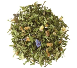 Dehner Lieblinge Spitzwegerich, 125 g