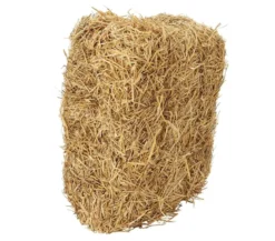 Dehner Lieblinge Strohballen, 7 kg