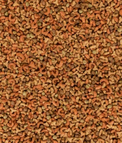 Dehner Lieblinge Trockenfutter für Katzen Multiprotein Senior, 2 kg