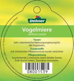 Dehner Lieblinge Vogelmiere - Stellaria media