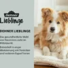 Dehner Lieblinge Wundversorgung Salben-Spray Zinkoxid