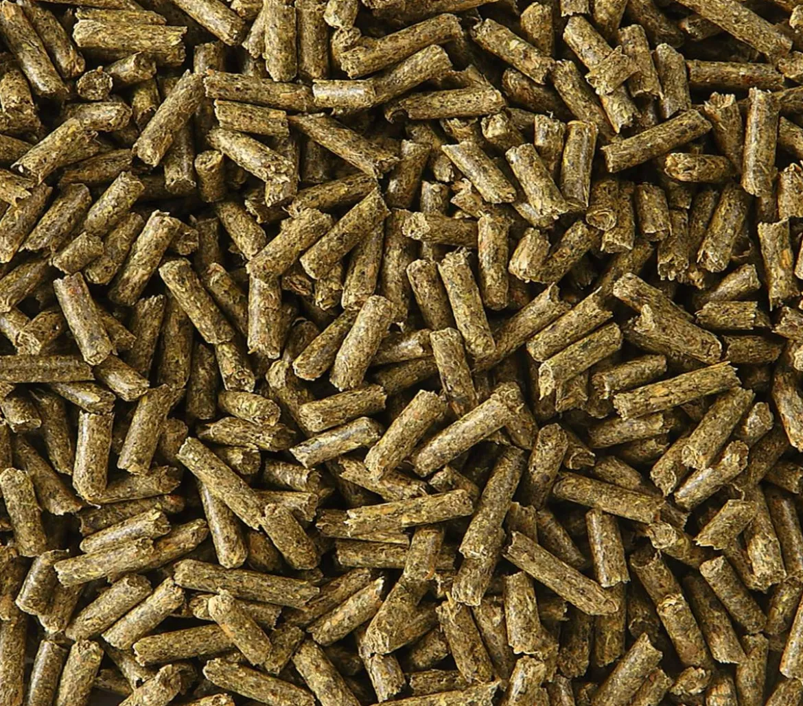 Dehner Lieblinge Zwergkaninchenfutter-Pellets