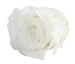 Dehner Longlife-Rose, ca. Ø3 cm
