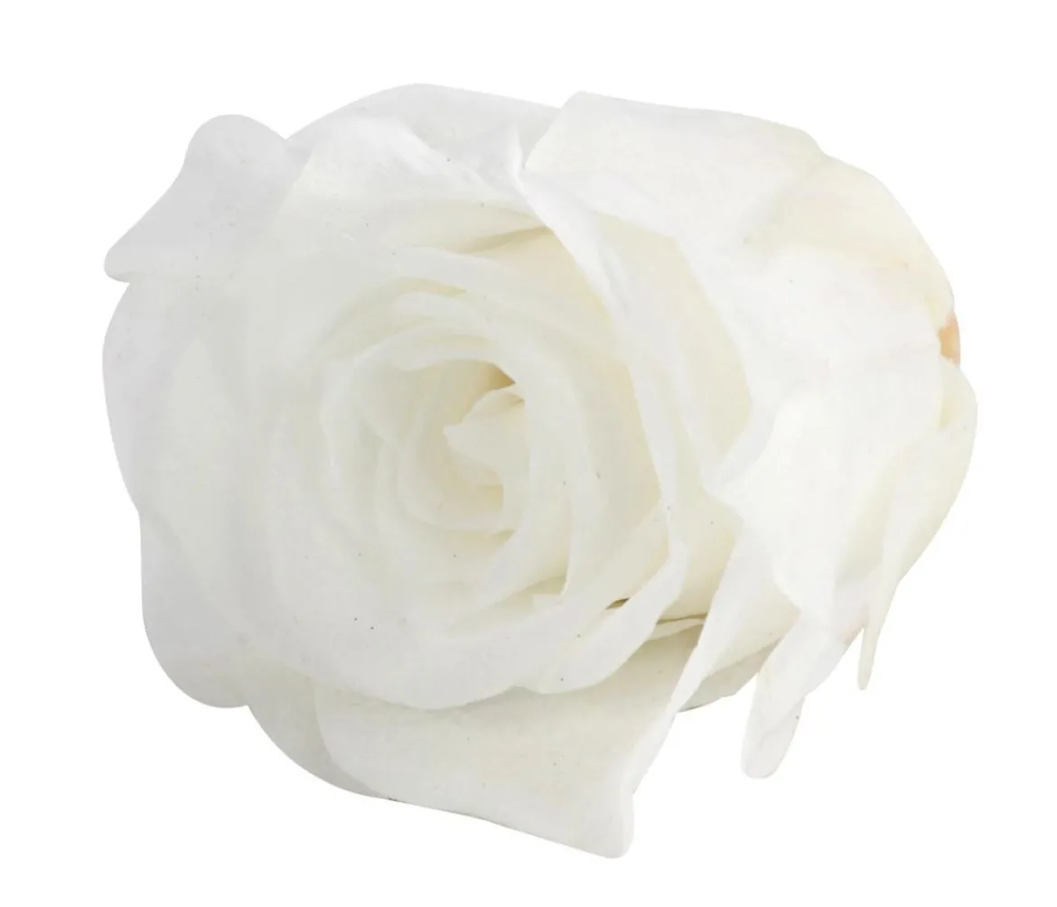 Dehner Longlife-Rose, ca. Ø3 cm