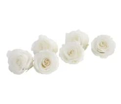Dehner Longlife-Rose, ca. Ø6 cm