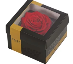 Dehner Longlife-Rose in Geschenkbox, ca. Ø9 cm