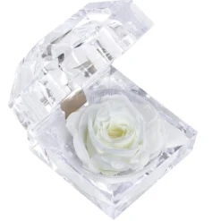 Dehner Longlife-Rose in Juwelenbox, ca. Ø3,5 cm