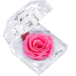 Dehner Longlife-Rose in Juwelenbox, ca. Ø3,5 cm