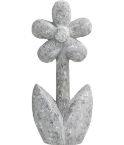 Dehner Magnesia-Blume