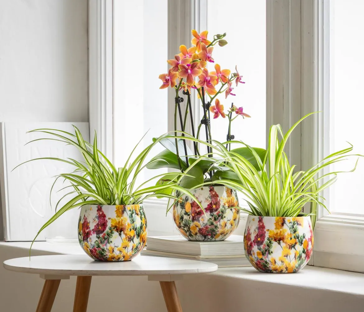 Dehner Metall-Übertopf Floral, bauchig, weiß/bunt