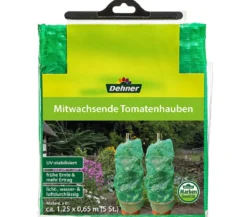 Dehner Mitwachsende Tomatenhaube, 5 Stück