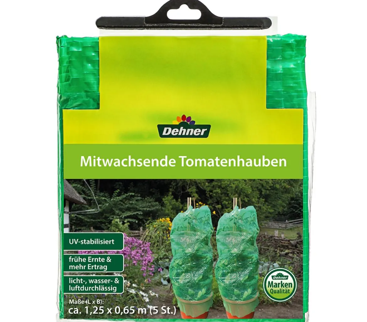 Dehner Mitwachsende Tomatenhaube, 5 Stück