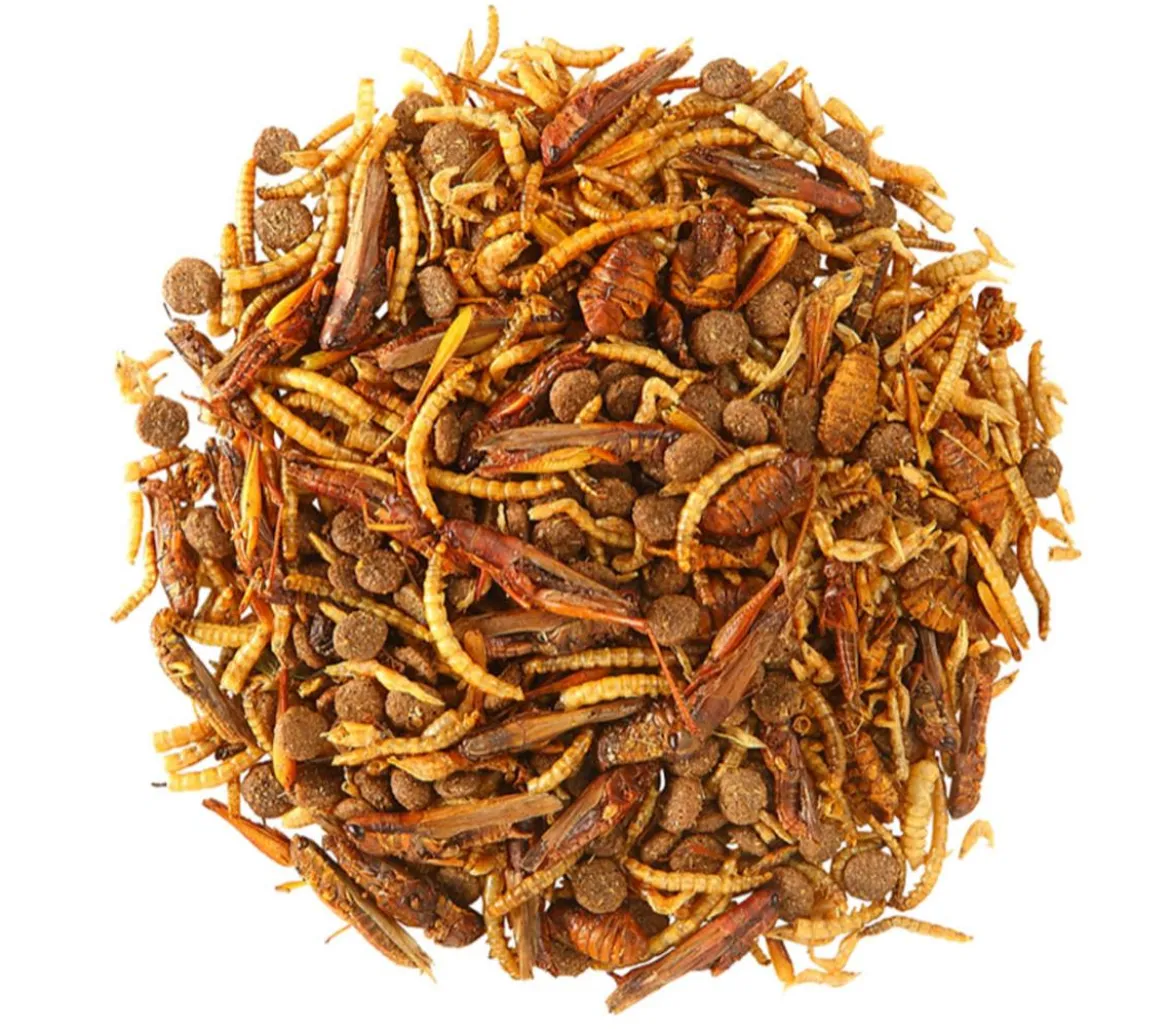 Dehner Natura Premium Igel-Delikatesse, 100g