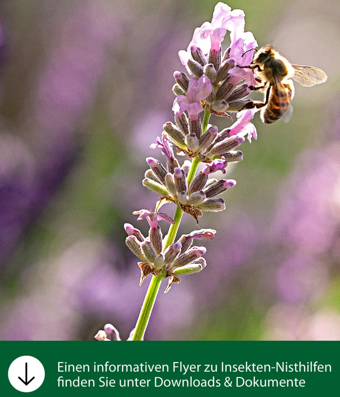Dehner Natura Premium Insektenhotel Trentino