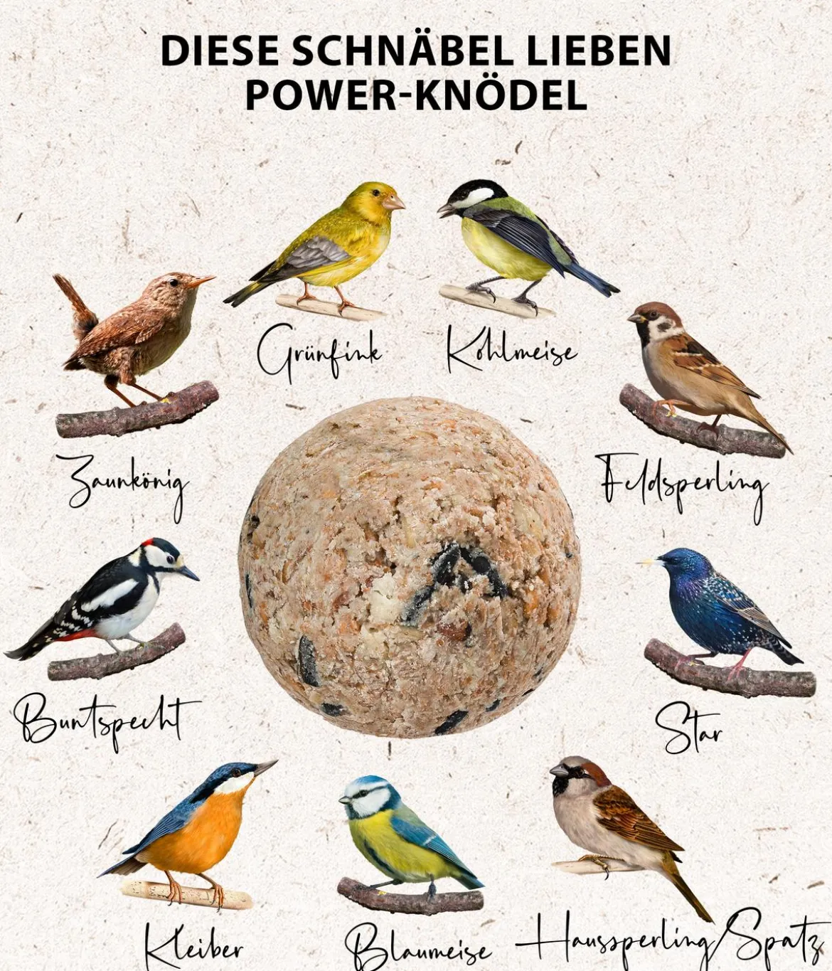 Dehner Natura Premium Wildvogelfutter Power-Meisenknödel im Eimer, mit Netz, 30 Stk.