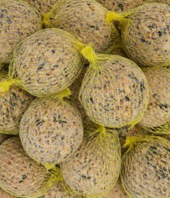 Dehner Natura Premium Wildvogelfutter Power-Meisenknödel im Eimer, mit Netz, 30 Stk.