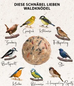 Dehner Natura Premium Wildvogelfutter Wald-Meisenknödel im Eimer, mit Netz, 30 Stk.