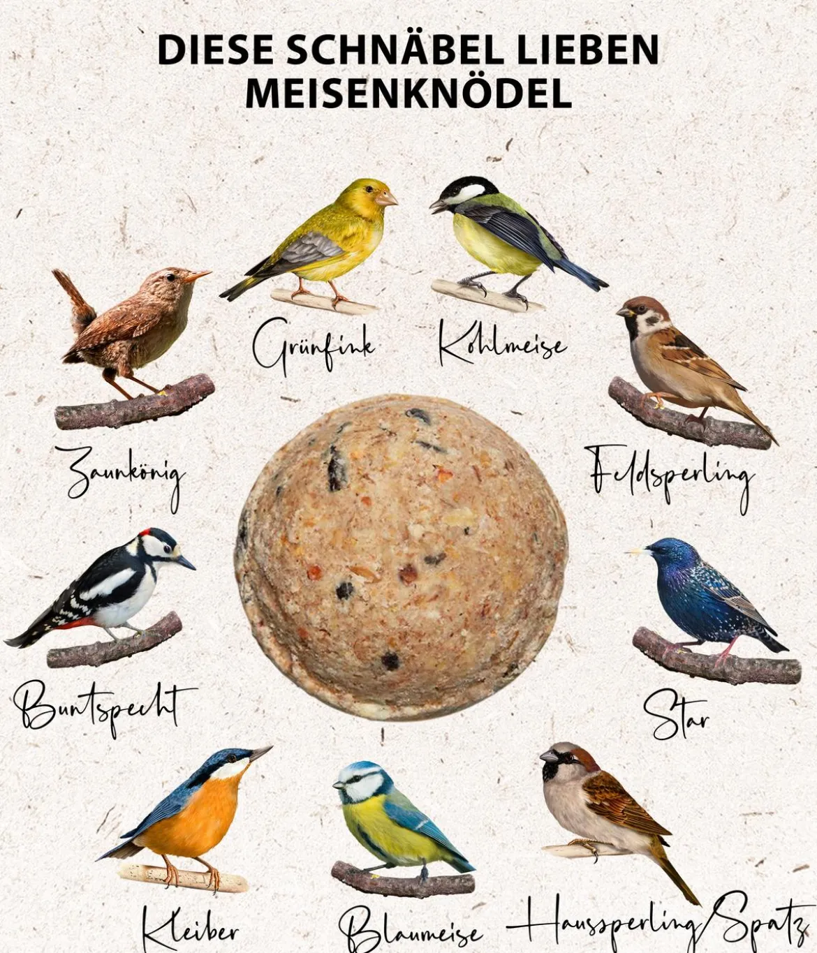 Dehner Natura Premium Wildvogelfutter Meisenknödel, mit Netz, 6 Stk.