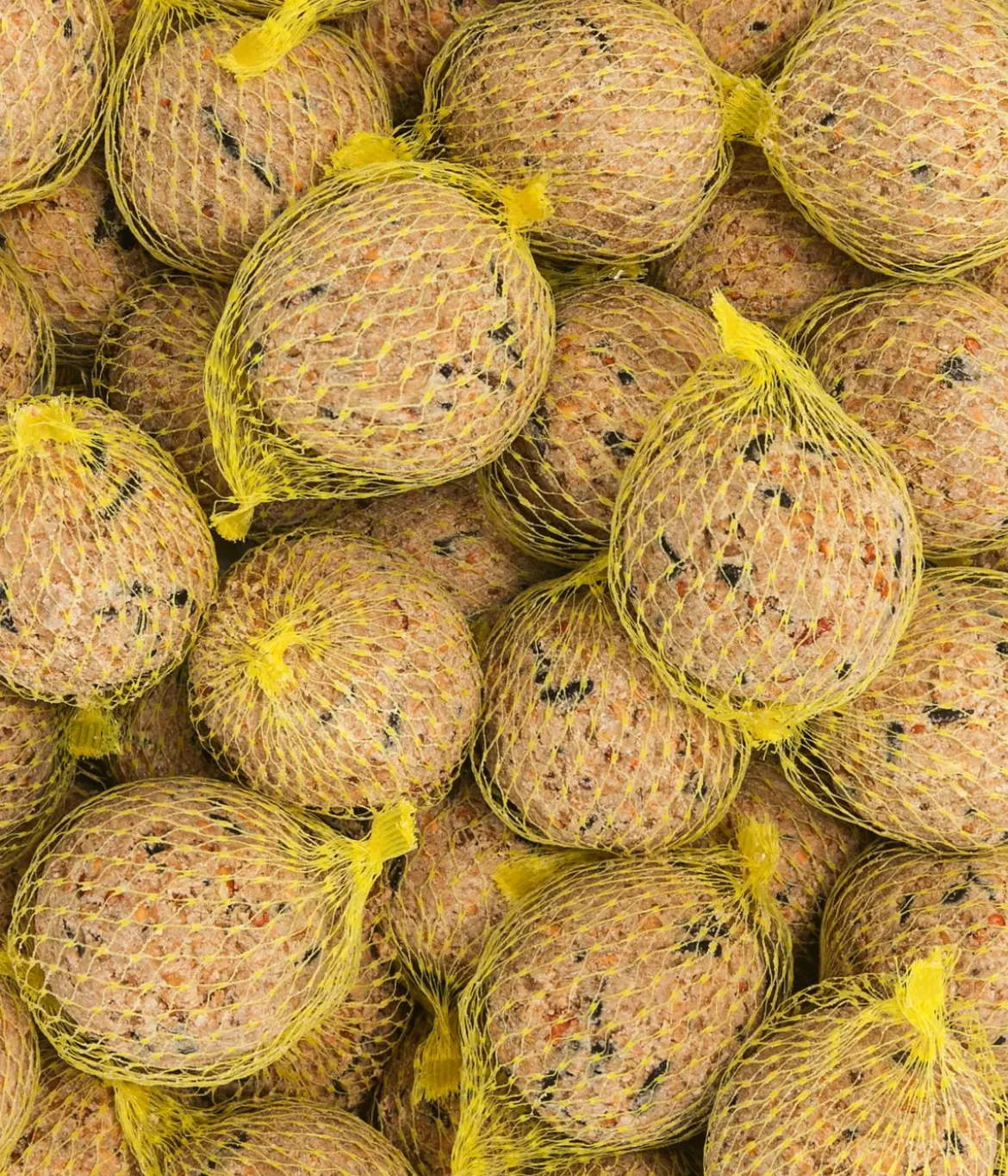 Dehner Natura Premium Wildvogelfutter Apfel-Meisenknödel im Eimer, mit Netz, 30 Stk.