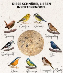 Dehner Natura Premium Wildvogelfutter Insekten-Meisenknödel, mit Netz