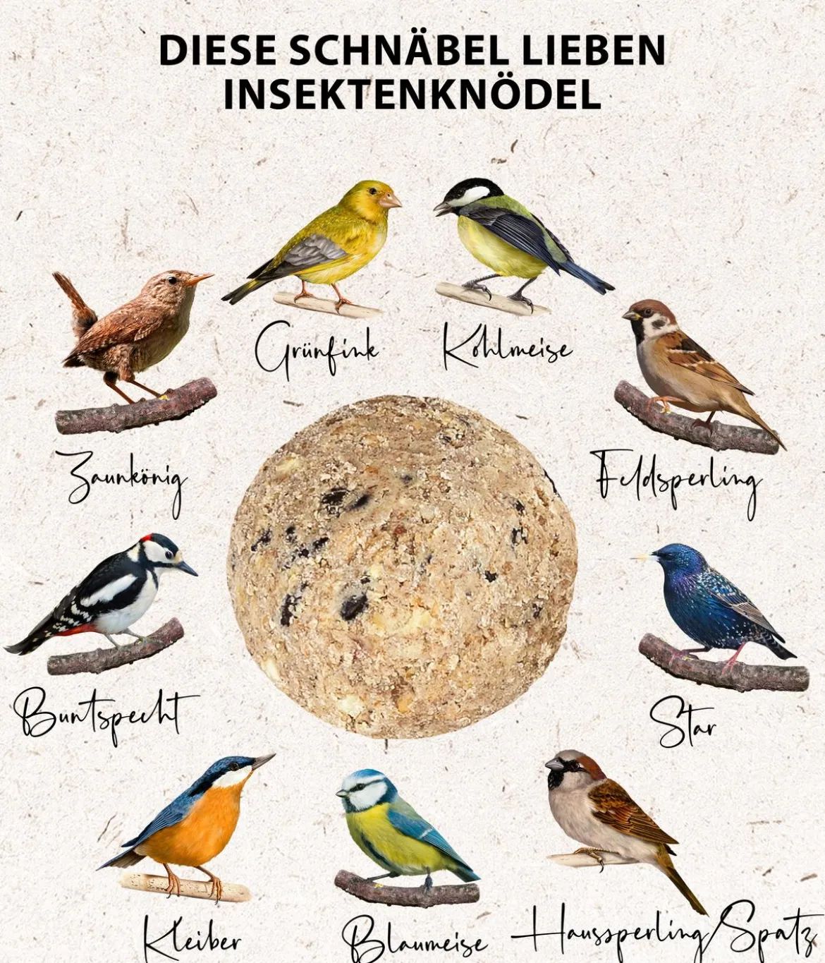 Dehner Natura Premium Wildvogelfutter Insekten-Meisenknödel, mit Netz